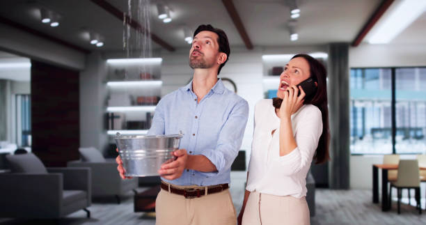 Best Carpet water damage restoration  in Tiltonsville, OH